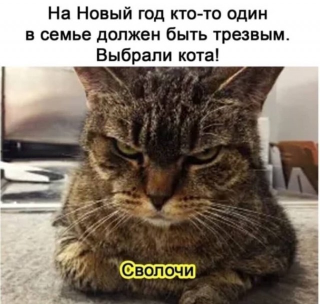 Бредзона 28.12.20