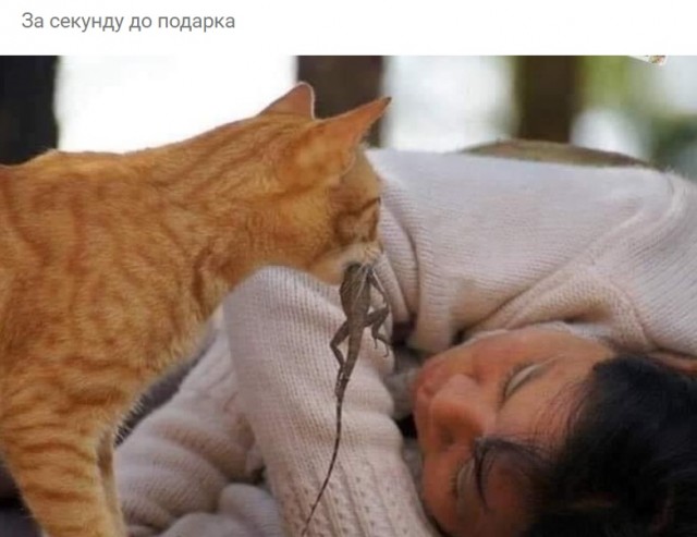 Дебилизмы из сети 04.02.21