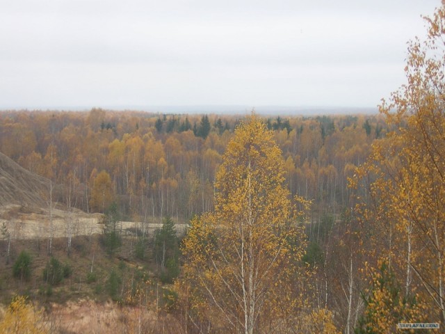 Фото из заброшенного лагеря