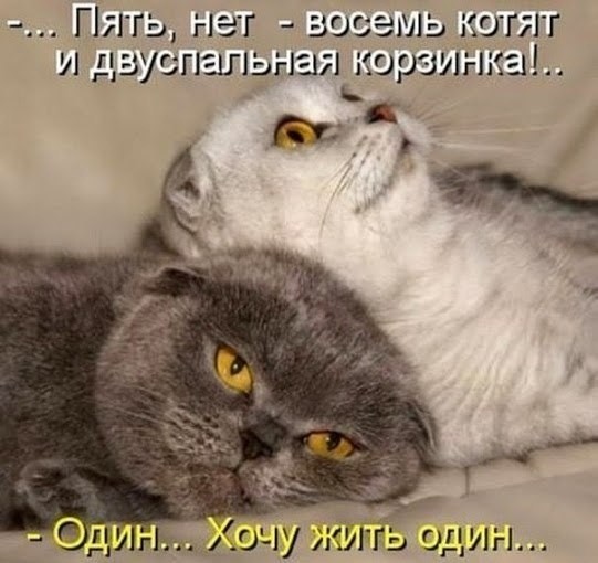 Так себе картинки 01.04.21