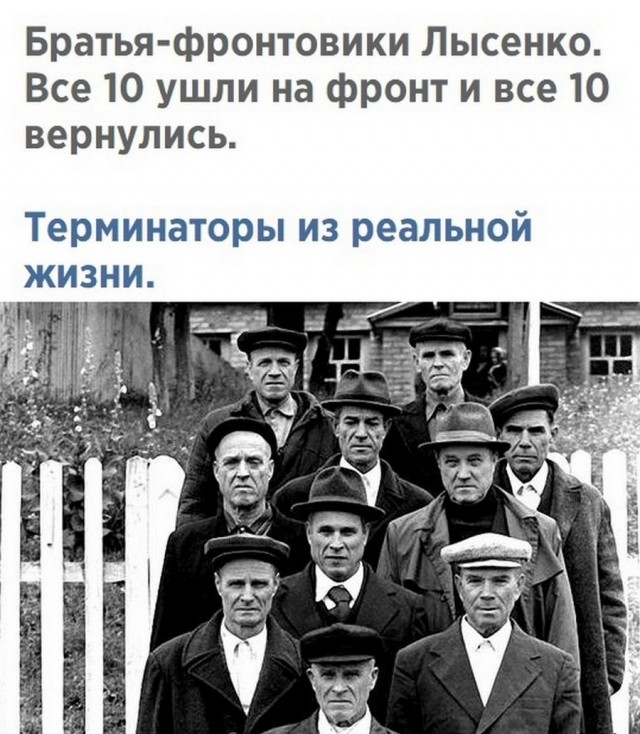 Картинки и мемы для настроения