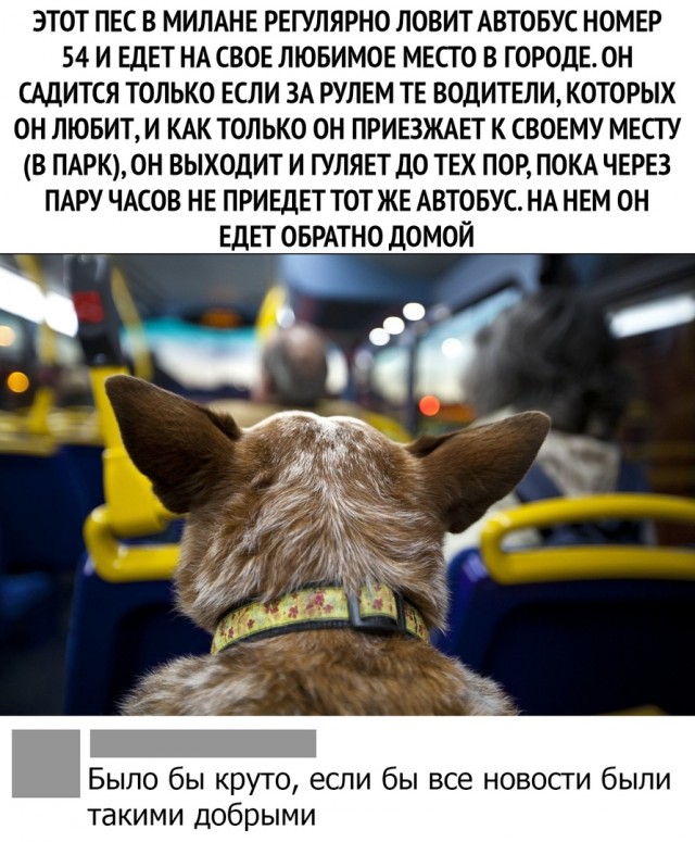 Так себе картинки 23.09.21