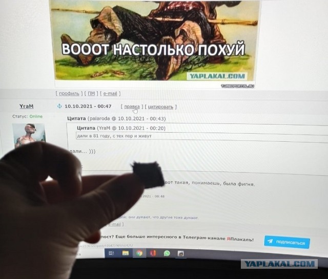Как московская семья выживает в доме, который стёрт с карты