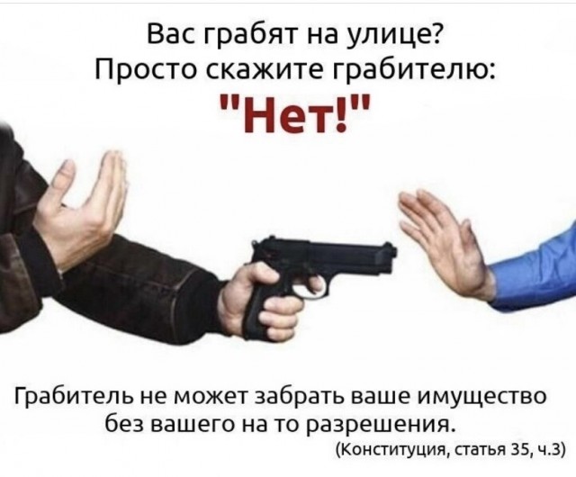 Всяческие картинки 22.11.2021