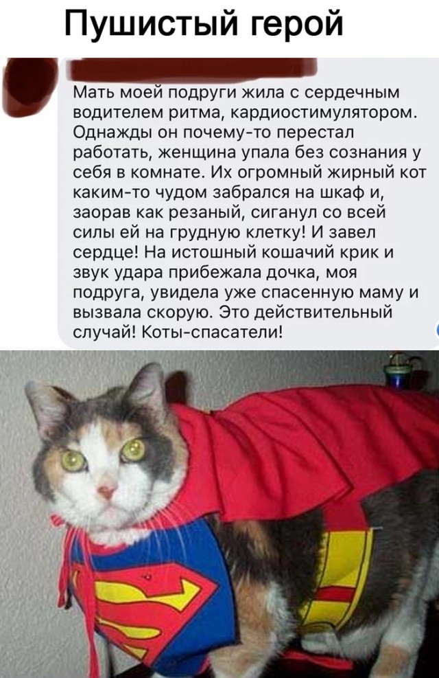 Так себе картинки 22.11.21