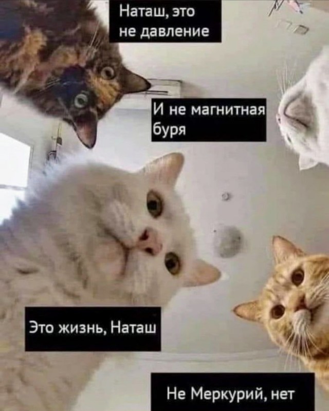 Два-лучше!