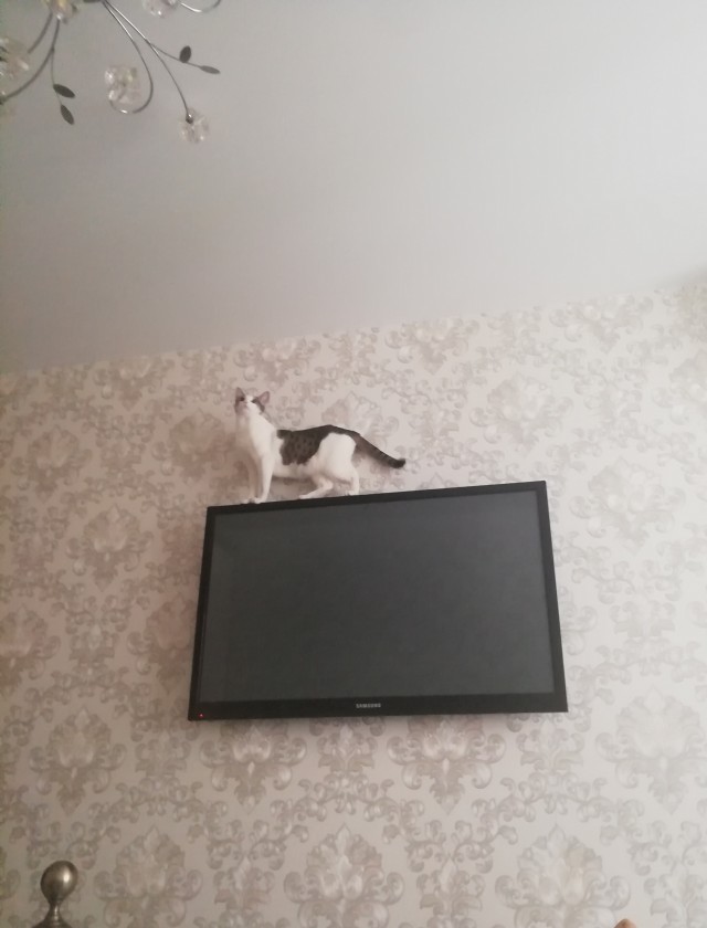 Ну, понеслась!