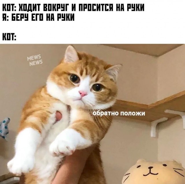 Картинки на вчера