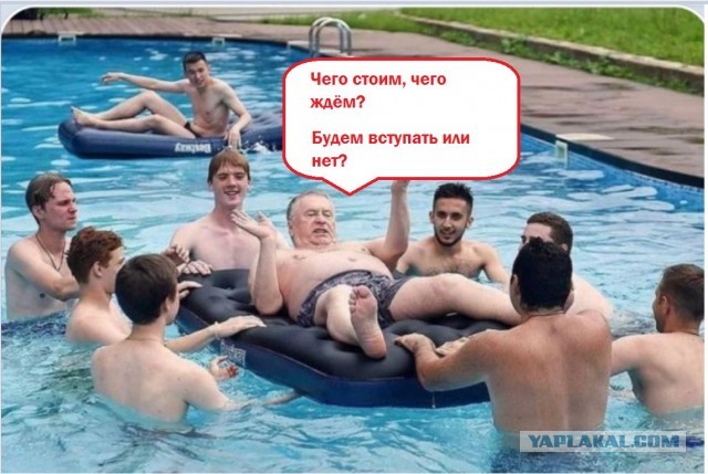 Да простит меня ЛДПР