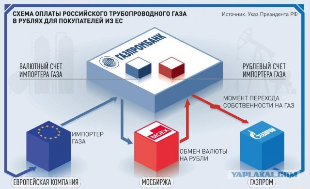 Понеслось…