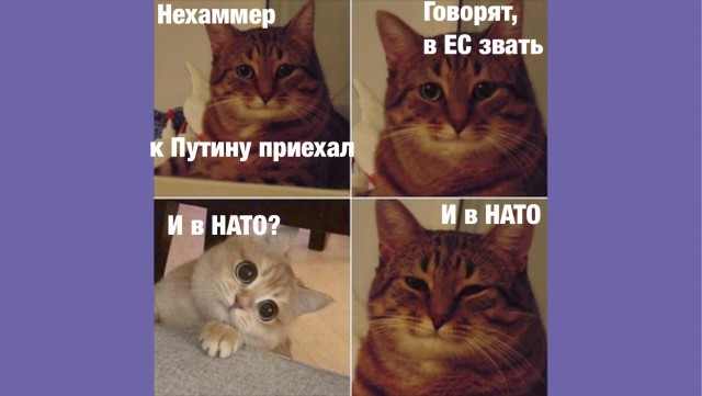 ⚡️ Канцлер Австрии Карл Нехаммер покинул здание посольства страны в Москве и отправился на встречу с Владимиром Путиным