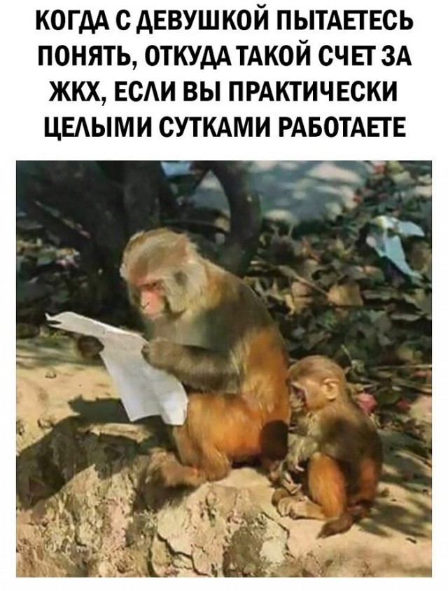 Картинки с надписями и всякие жизненные фразы