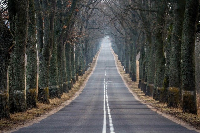Это, черт побери, было стремно