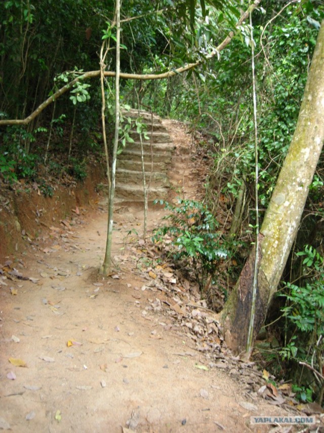 Такой разный остров Самуи