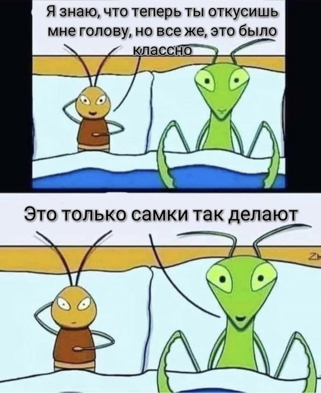 Алкошения