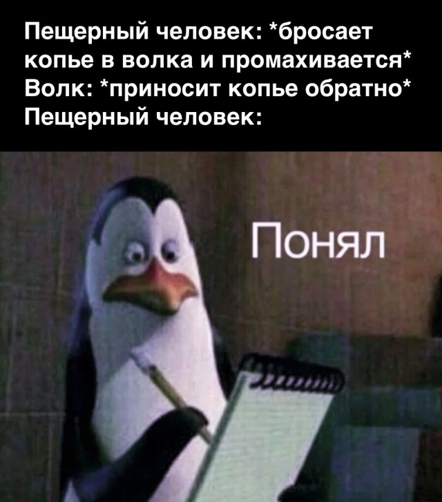 Чуток картинок 26.07.22