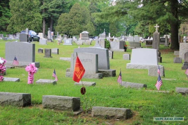 Поездка в США