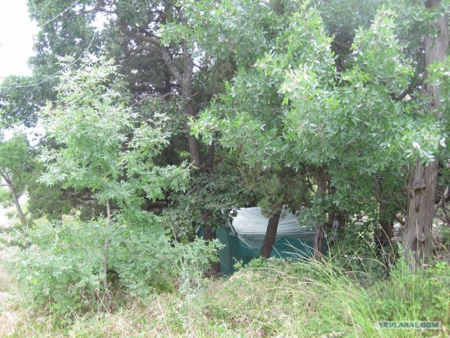 Южный берег Крыма