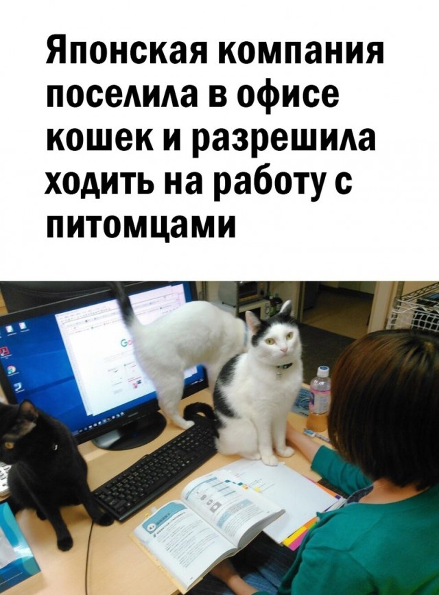 Так себе картинки 10.09.22
