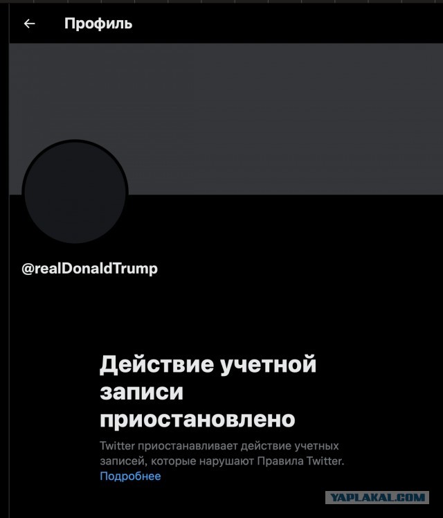 "Птичка выпущена на волю":
Маск подтвердил, что возглавил Twitter