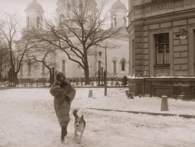 Немного фактов о фильме "Собачье сердце" 1988 года
