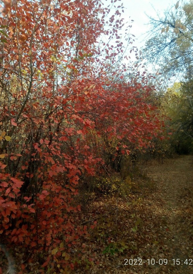Городской ад