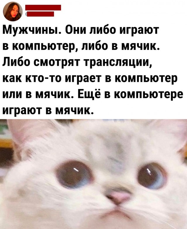 Так себе картинки 12.12.21