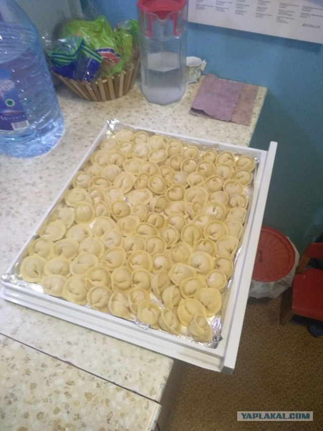 Пельмешки