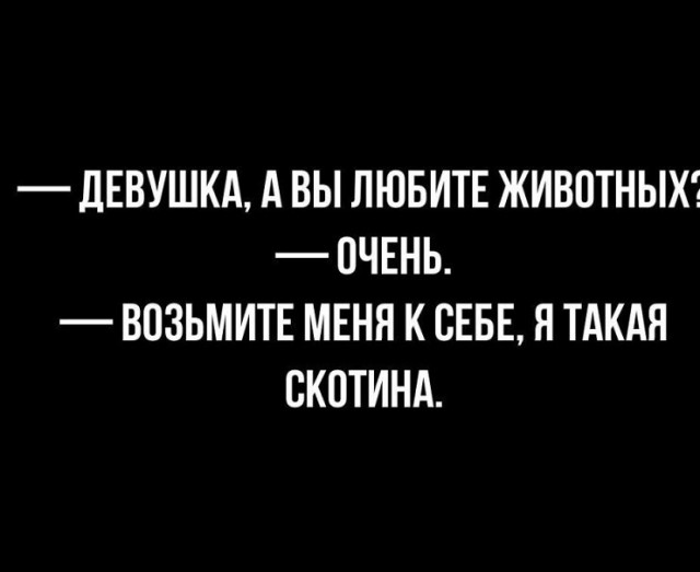 Юмор в картинках и без 22.12.2022