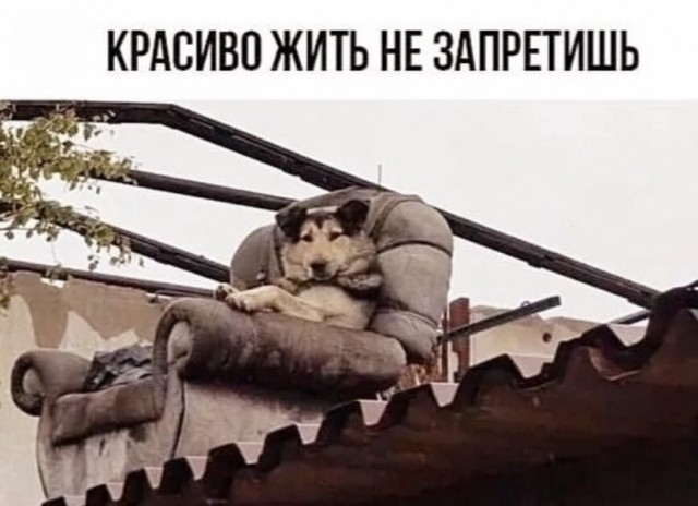 Немного картинок и прочей хреноты Vol. 20