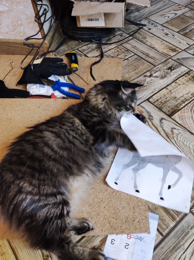 Котодракула