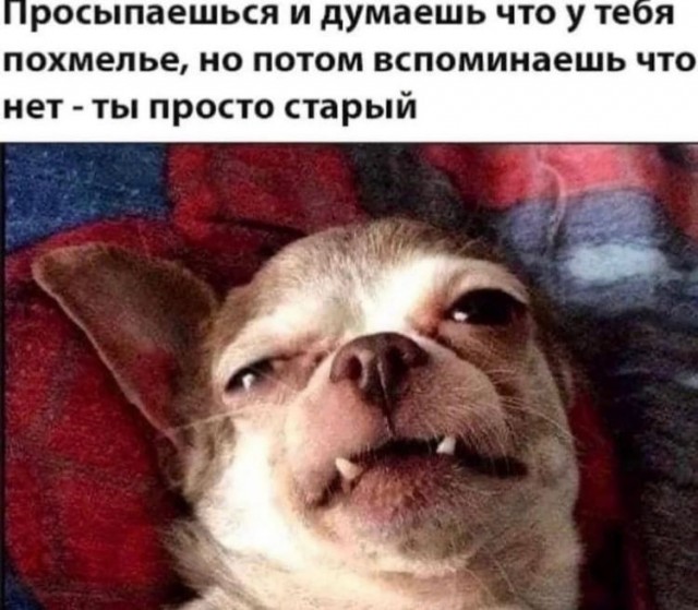 - Да тут всю систему надо менять! - сказал один сантехник и "загремел" на 10 лет. Помните этот анекдот?