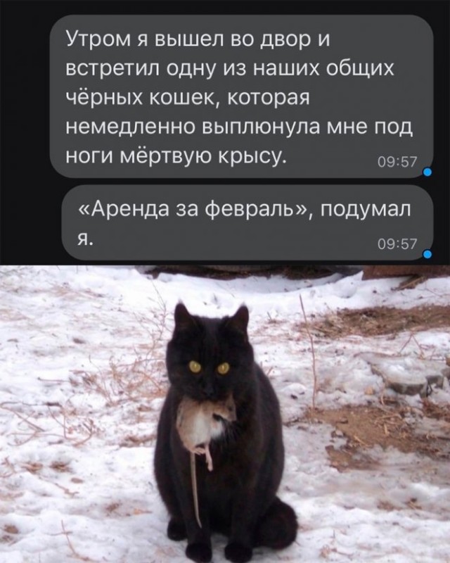Немного картинок для настроения - 139