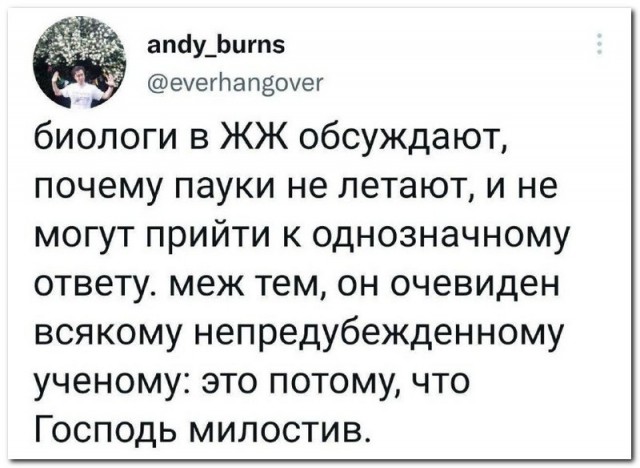 Забавные комментарии из социальных сетей (20.03.23)