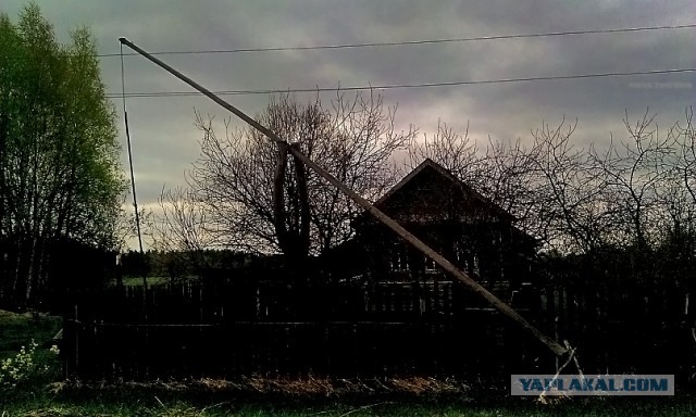 Добро пожаловать в глушь