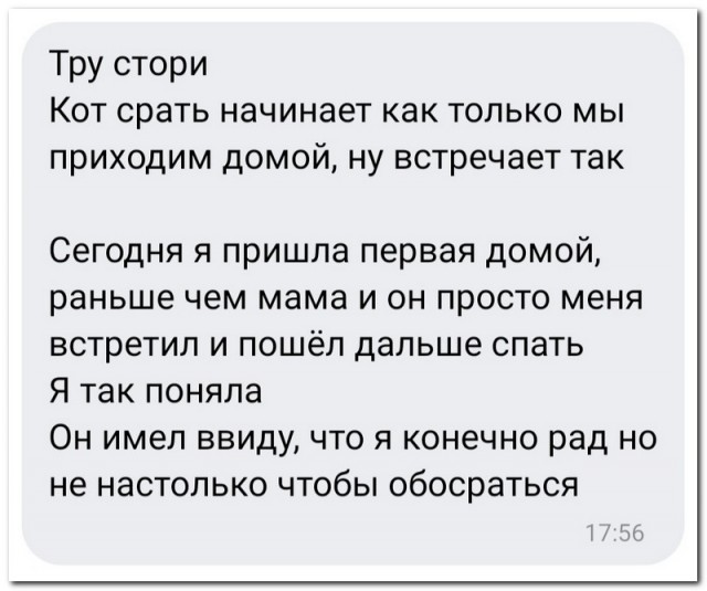 Забавные комментарии из социальных сетей 16.07.23
