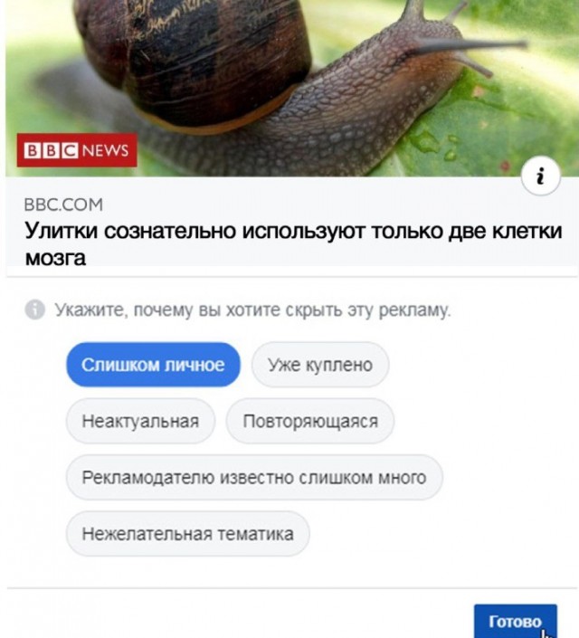 Всего понемногу. От 31.07.23