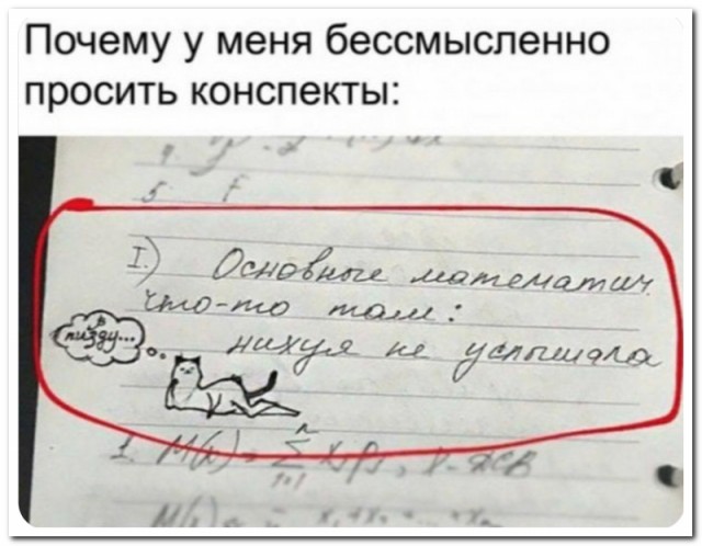 Забавные комментарии из социальных сетей (07.08.23)