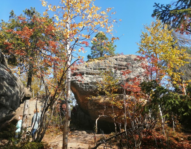 Краски осени