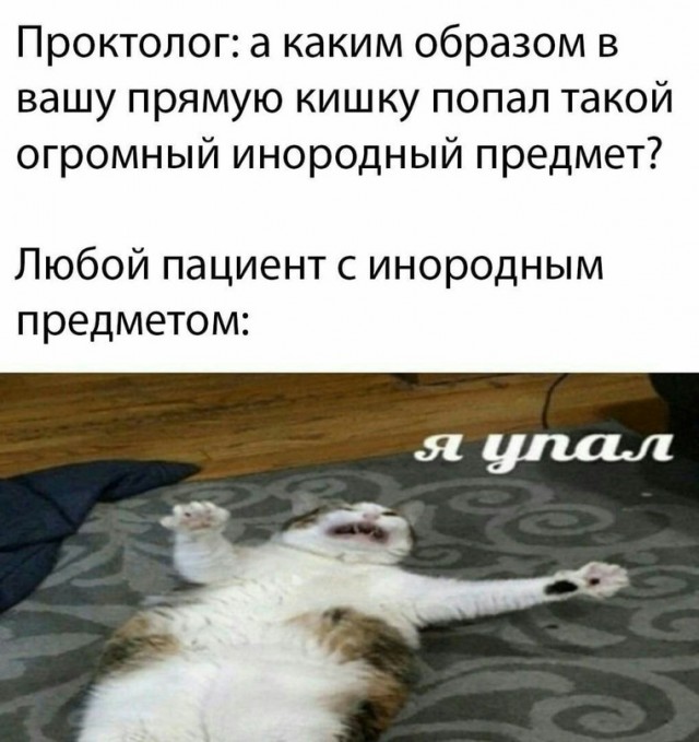 Приколы с налетом деградации