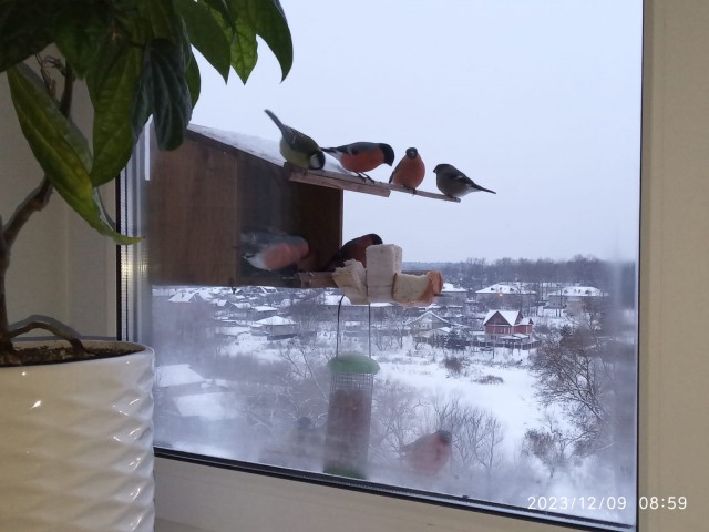 43 года такого не видел