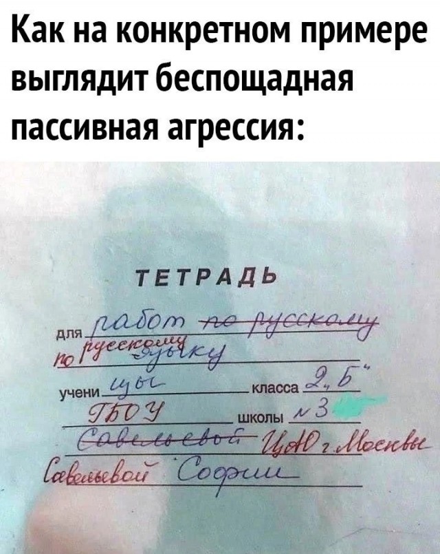 Куча веселых картинок