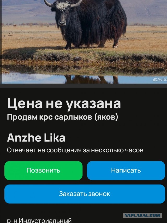Веселая ферма: Длинное видео, но надеюсь, получилось интересно!