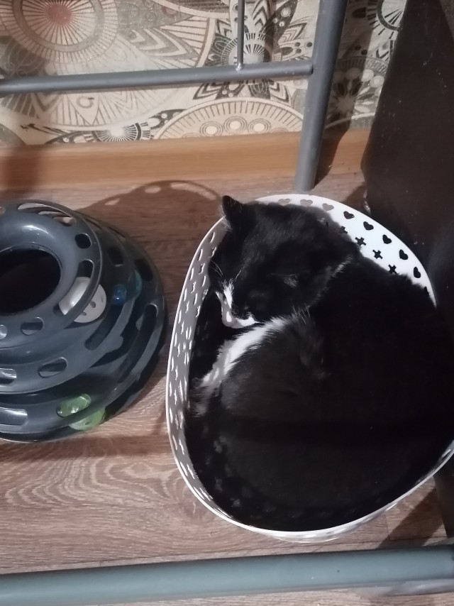 Коробочки наше фсё