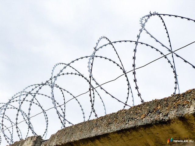 Депутаты Госдумы РФ предлагают ужесточить наказание за незаконную миграцию вплоть до лишения свободы на срок до 15 лет