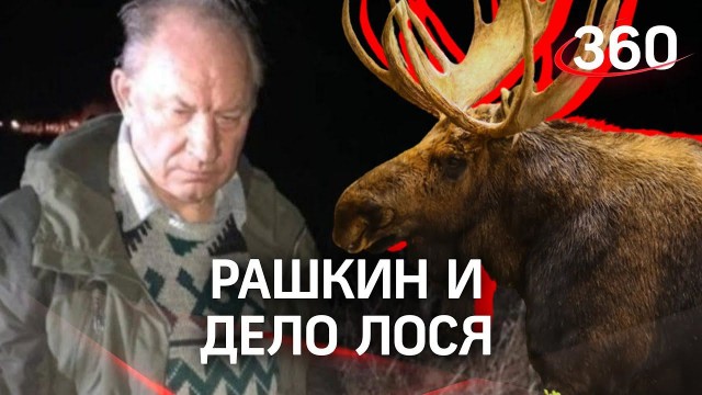 Охота — это психическое расстройство