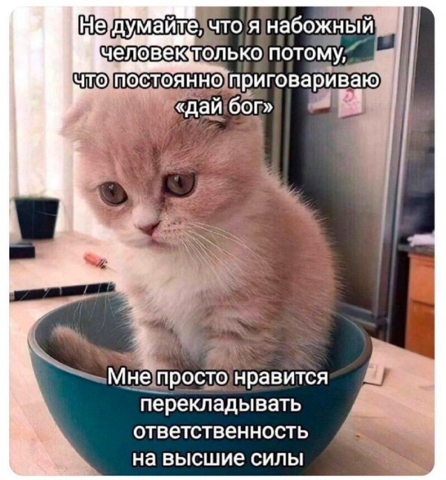 Так себе картинки 09.02.25