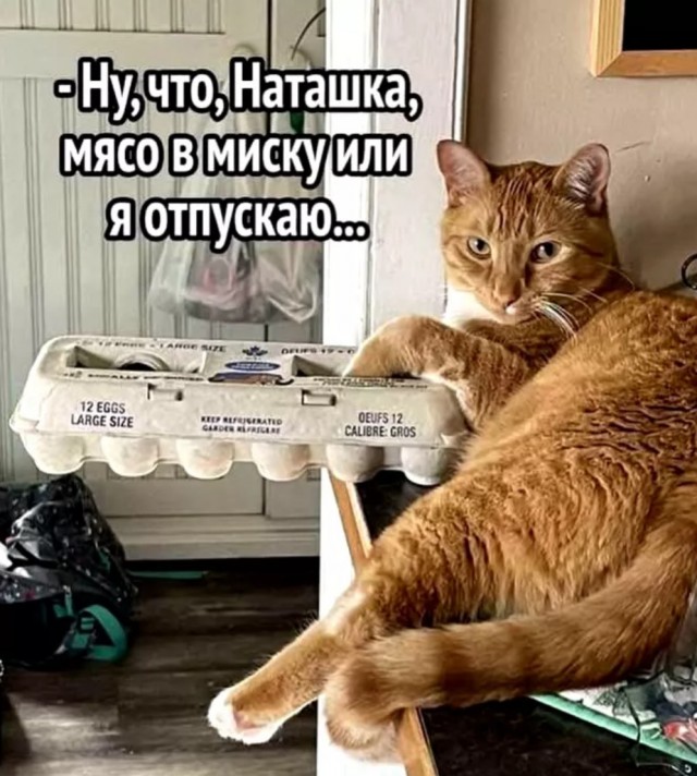 Завалялось тут случайно немного забавных картинок