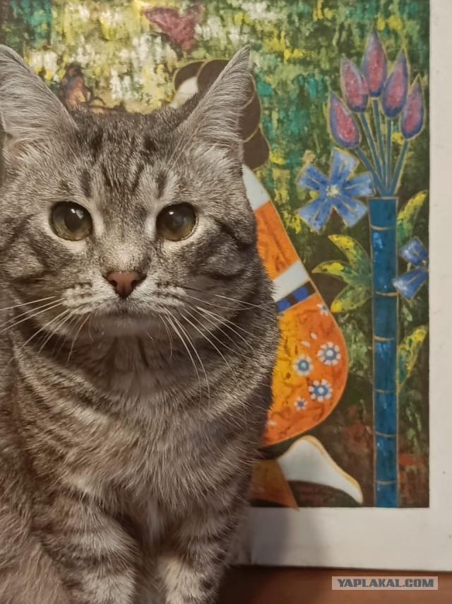 А вот и мои красавцы