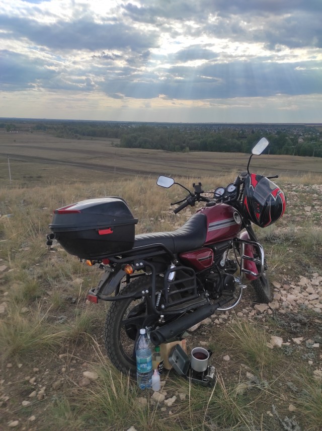 В лесу